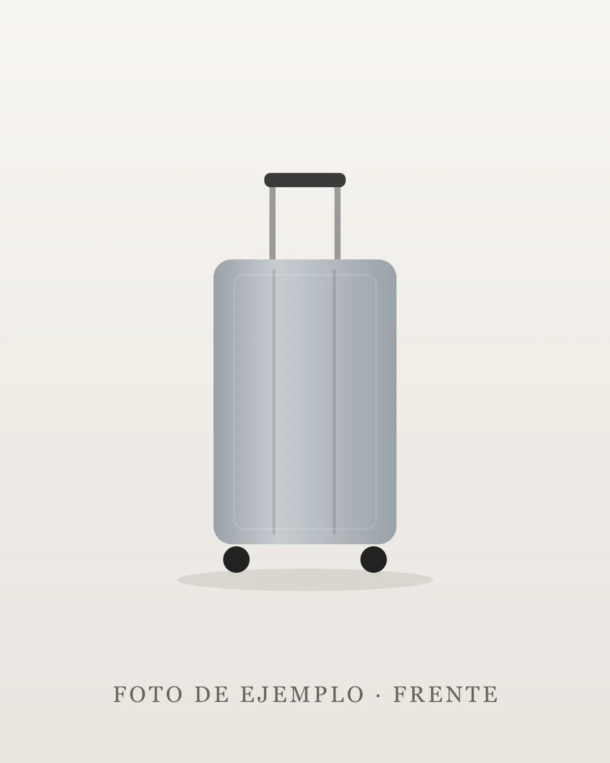 American Tourister Curio